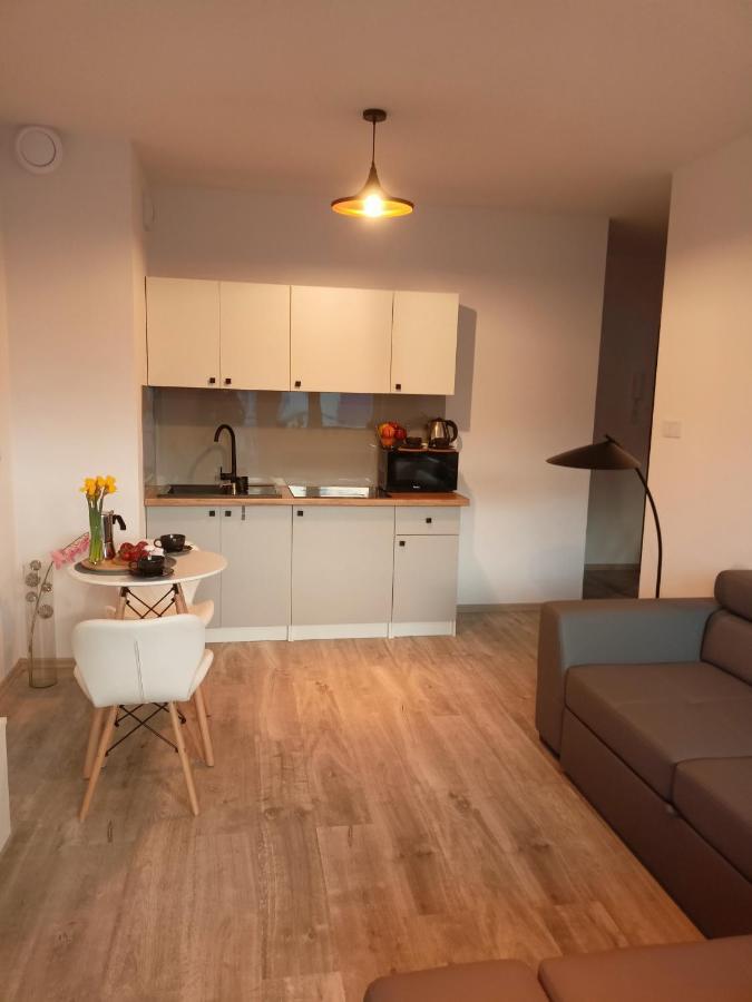 Apartament Z Sauna I Jacuzzi Leilighet Radom Eksteriør bilde